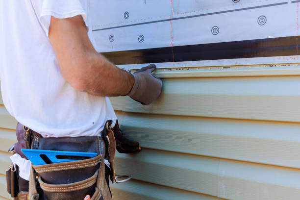 Best Steel Siding Installation  in Fairmount Heights, MD